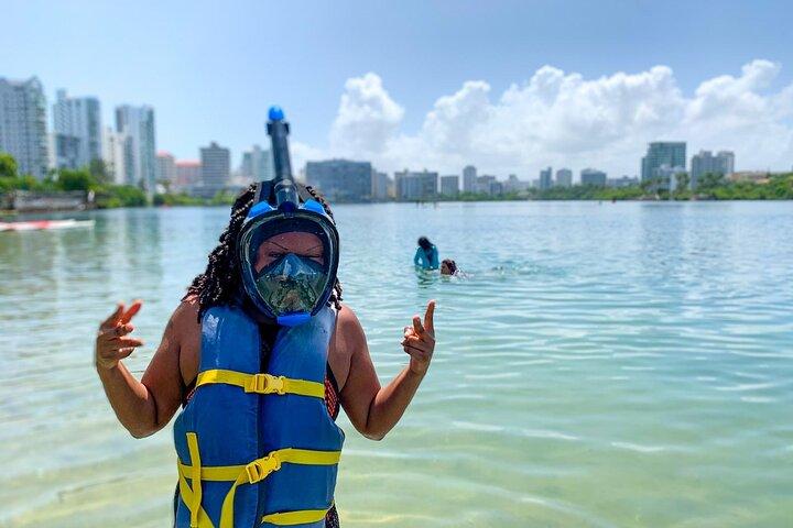 Experiencia de buceo con tortuga marina