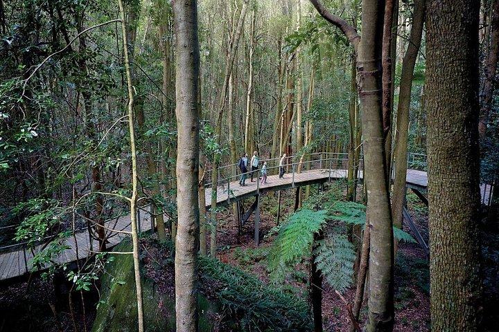 Private All Blue Mountains Day Tour