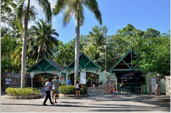 Dunn's River Fall's