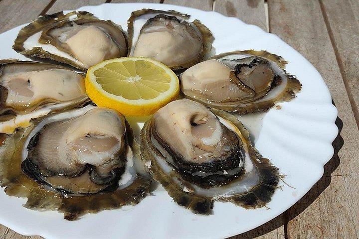 ボートに乗って完璧なプライベートオイスターとワインの試飲