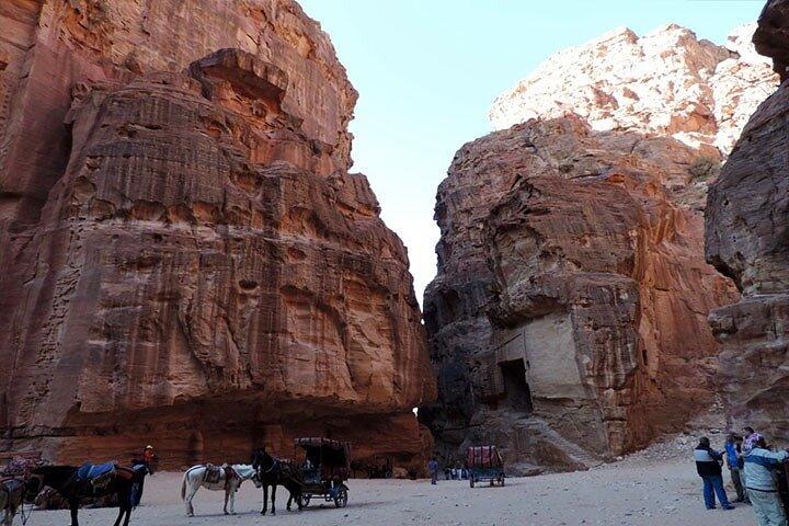 Traslados privados desde la ciudad de Ammán dentro de Jordania y viceversa
