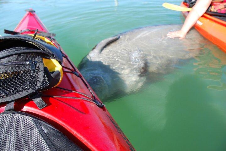 Tour tropicale in kayak e avventura sull'isola di Fort Lauderdale