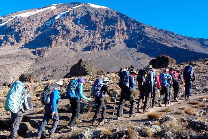 2-dages kort Kilimanjaro Trek