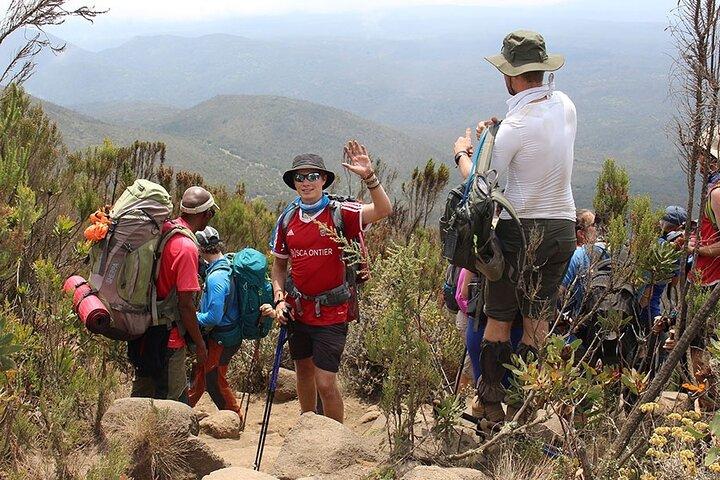 2-dages kort Kilimanjaro Trek