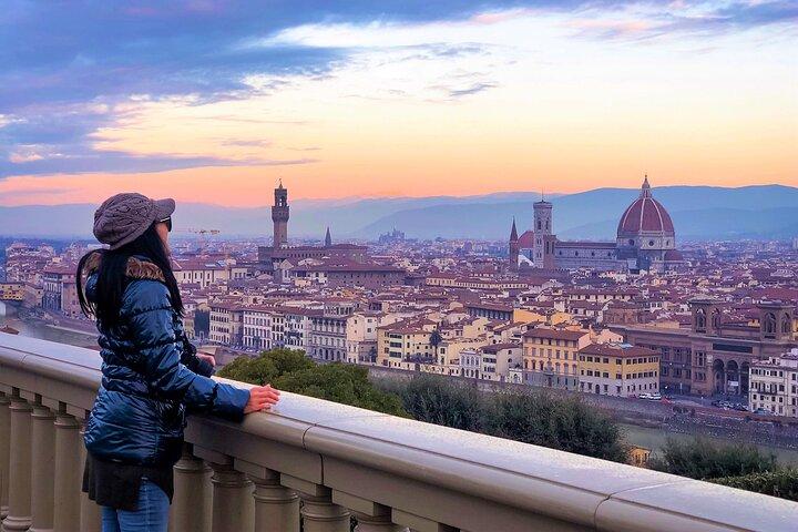 Excursão privada de Florença e Pisa com almoço e carro de luxo | Port Option