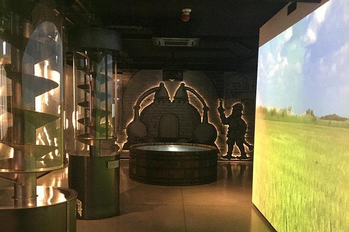 ヴィラヌフ王宮 + ポーランド ウォッカ博物館: SMALL GROUP /inc.選び出す/