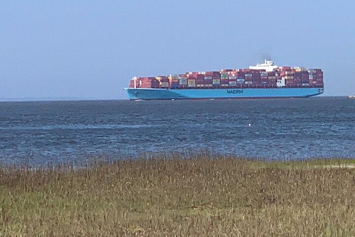 Tybee Island Day at the Beach Experience de Savannah