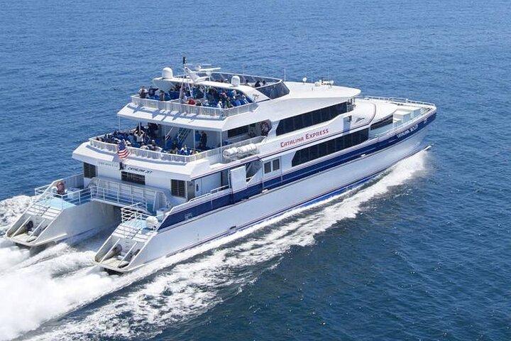 カタリナ島 (ディスカバー アバロン シーニック ツアー & ホテル送迎付き)