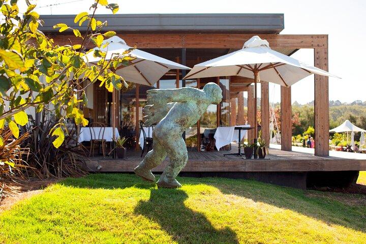 De la propiedad al plato: Montalto Vineyard Gourmet Lunch and Wine-Tasting Tour