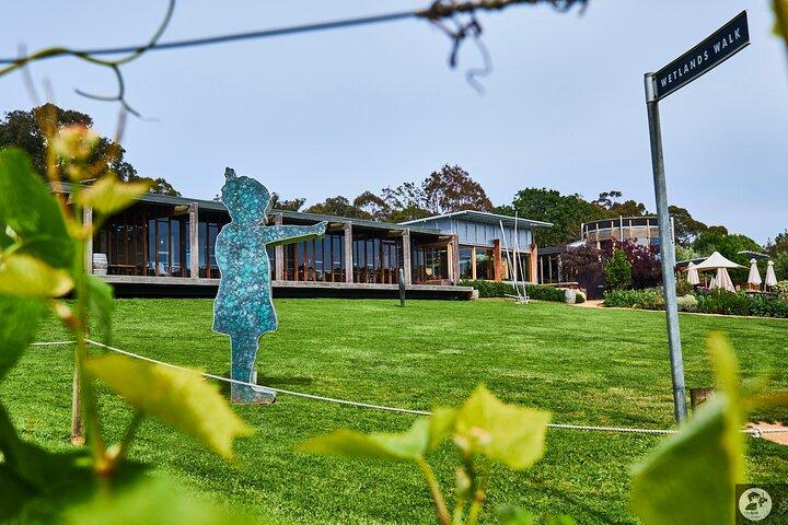 De la propiedad al plato: Montalto Vineyard Gourmet Lunch and Wine-Tasting Tour