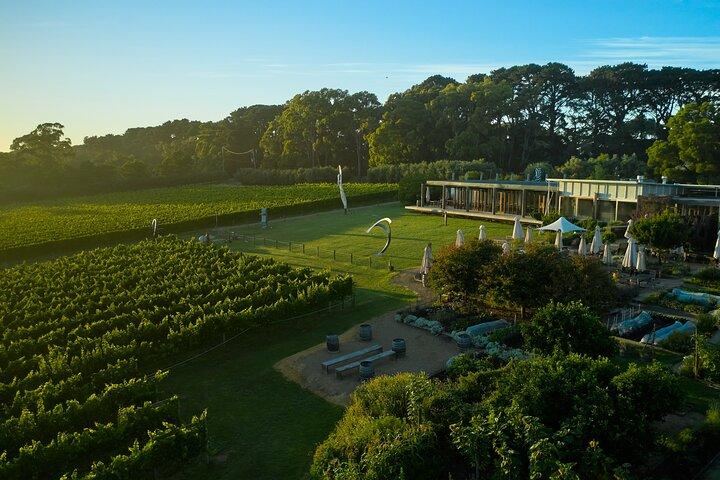 De la propiedad al plato: Montalto Vineyard Gourmet Lunch and Wine-Tasting Tour