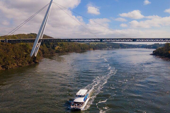 バットマンブリッジ4時間ランチクルーズ（白内障峡谷を含む）