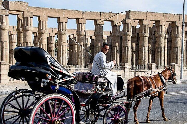 Stadstour met paard en wagen in de stad Luxor met maaltijd en frisdrank
