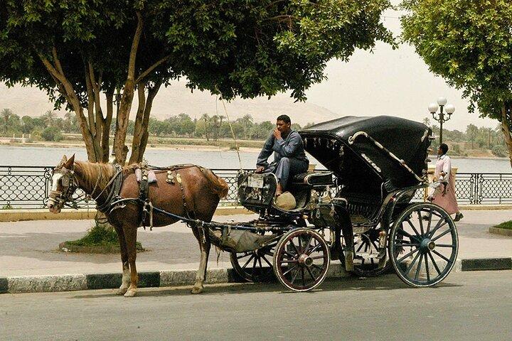 Stadstour met paard en wagen in de stad Luxor met maaltijd en frisdrank
