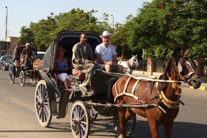 Stadstour met paard en wagen in de stad Luxor met maaltijd en frisdrank
