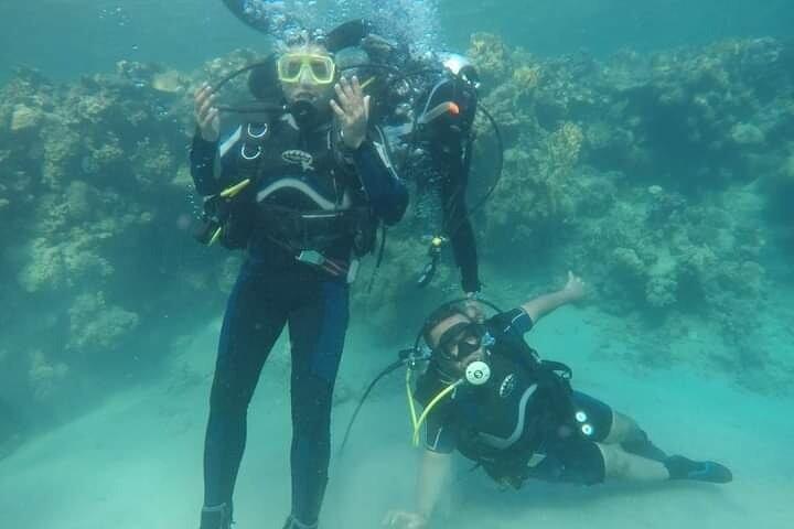 ハルガダでのボートでのダイビング 1 日旅行