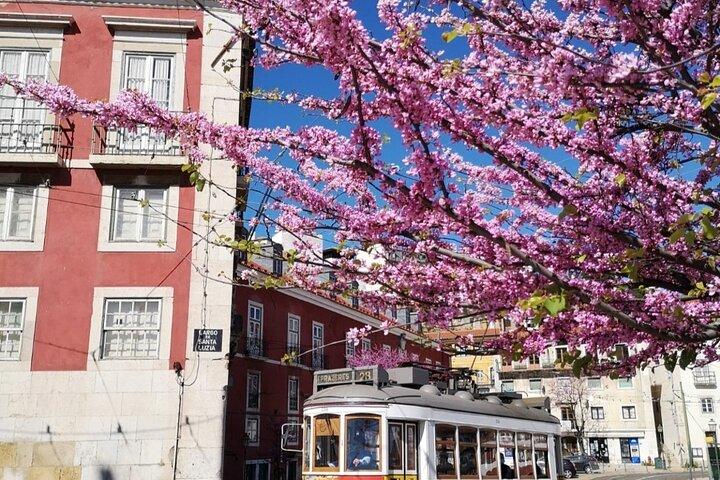 Private højdepunkter i Lissabon HD-tur