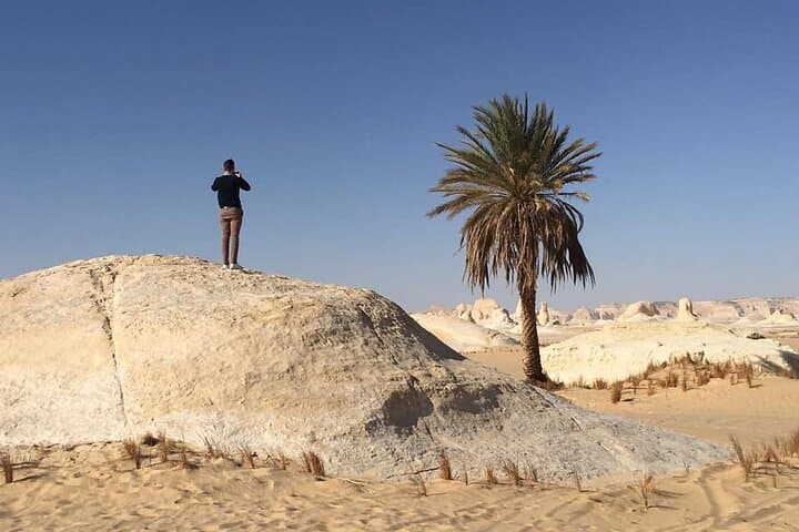2-Day Camping Trip to White and Black Desert from Cairo and Giza