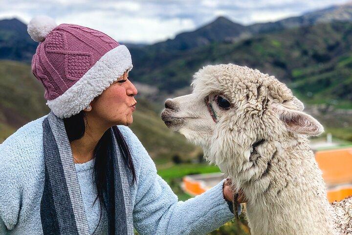 Quilotoa Lagune Ganztagestour ab Quito mit Eintrittsgeldern täglich
