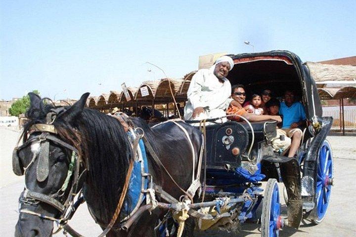 食事とソフトドリンク付きのルクソール市の馬車シティツアー