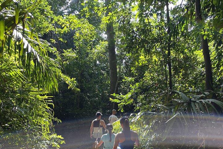 Privéwandelen in het Masingini-bos vanuit Stone Town