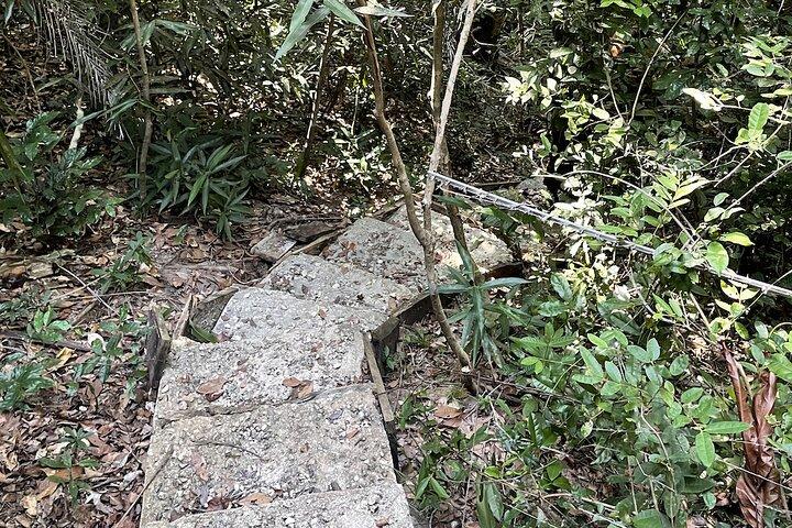 Privéwandelen in het Masingini-bos vanuit Stone Town