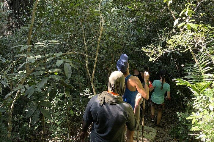 Privéwandelen in het Masingini-bos vanuit Stone Town