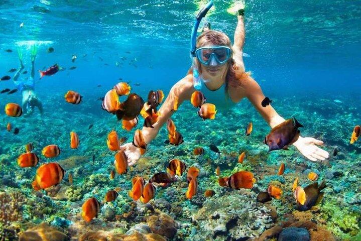Privato 11 giorni 10 notti Egitto viaggio di vacanza al Cairo Aswan Luxor e Hurghada