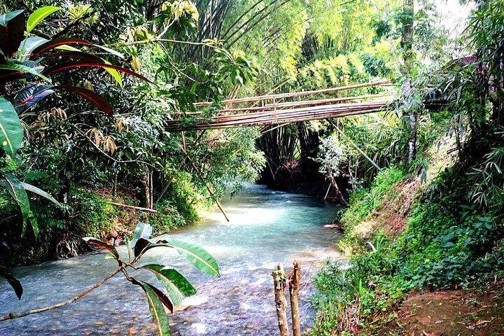 Mayfield Falls, Blue Hole, Rick's Café, Ganja Farm tour-Scegli qualsiasi 3