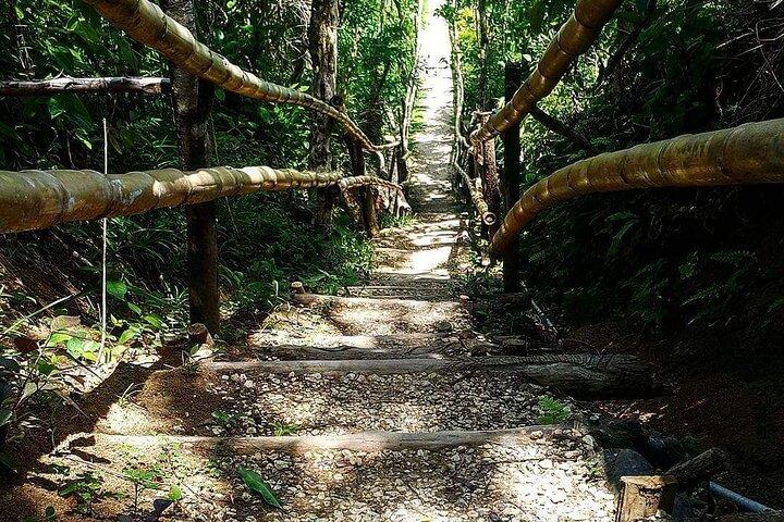 Mayfield Falls, Blue Hole, Rick's Café, Ganja Farm tour-Scegli qualsiasi 3