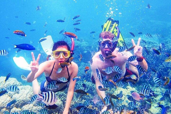 Orange Bay Snorkeling tour dos hotéis de Hurghada inclui almoço e equipamento