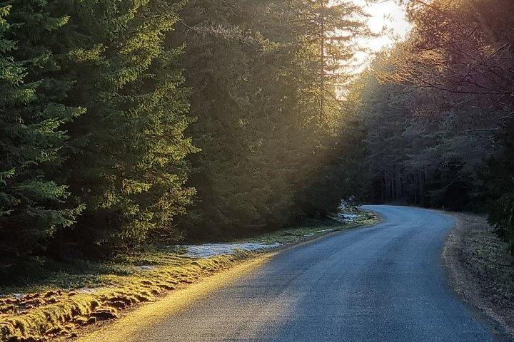 Bedste naturstier i Estland på 1 dag!
