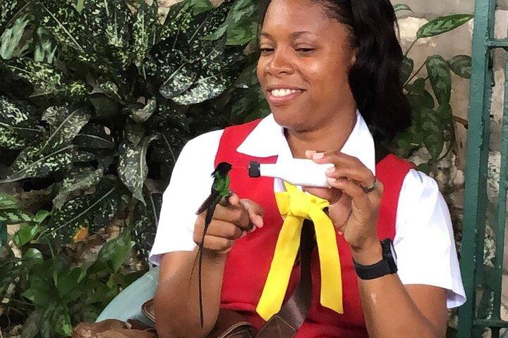ロックランド鳥類保護区のバードウォッチングの楽園
