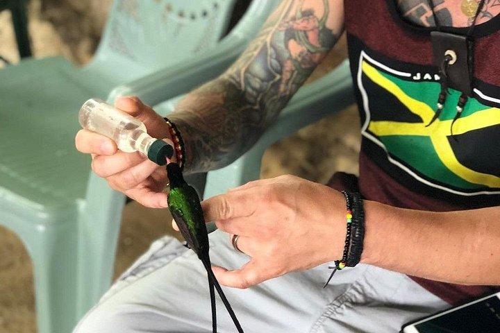ロックランド鳥類保護区のバードウォッチングの楽園