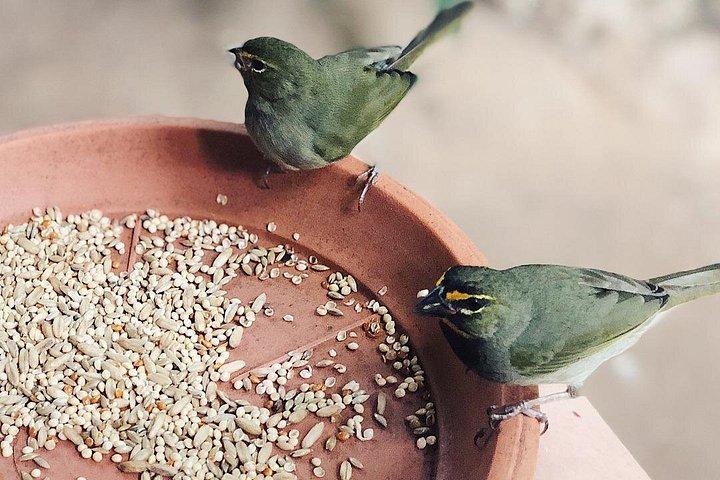 ロックランド鳥類保護区のバードウォッチングの楽園