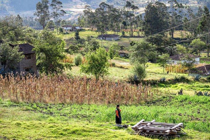 Cuenca to Vilcabamba shuttle