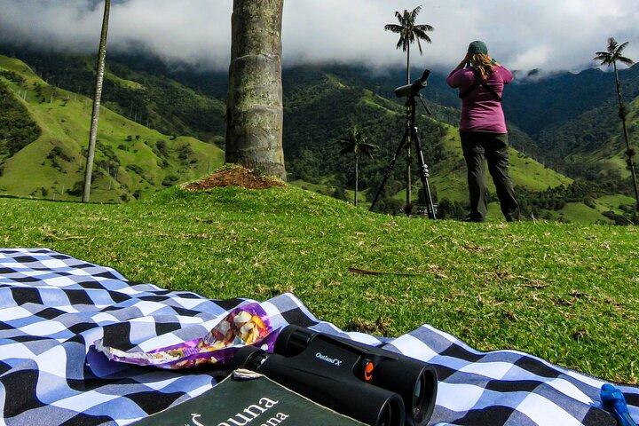 Cocora Valley: Passeio de pássaros e caminhadas com café da manhã e almoço