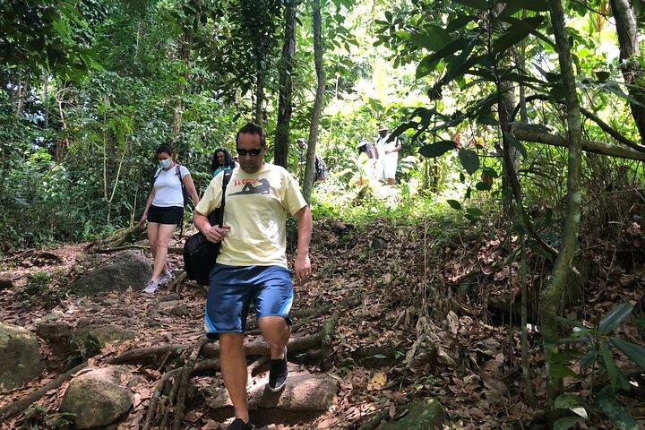 El Yunque Rainforest Tour with Waterslides and Beach