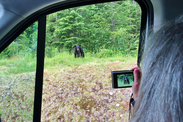 ウィスラー観光ツアー: 一年を通してウィスラーのすべてを発見しましょう!