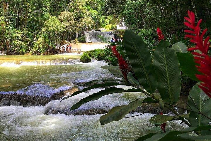 Tour privado de Ys Falls