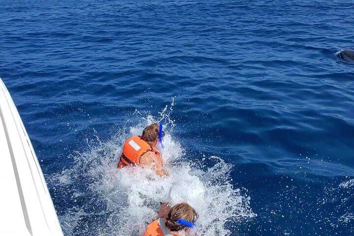 Whale Shark Adventure i Isla Mujeres og Cancun