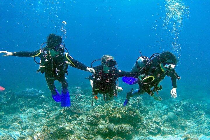Buceo para principiantes en Pula