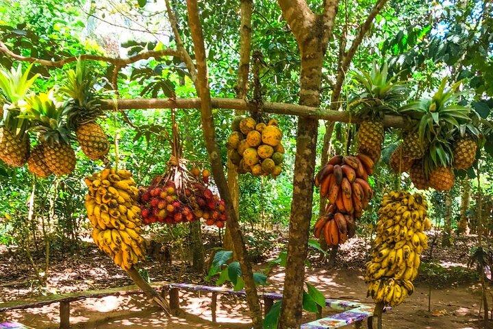 Tour privato delle spezie di Zanzibar con lezione di cucina swahili tradizionale