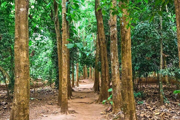 Tour privato delle spezie di Zanzibar con lezione di cucina swahili tradizionale