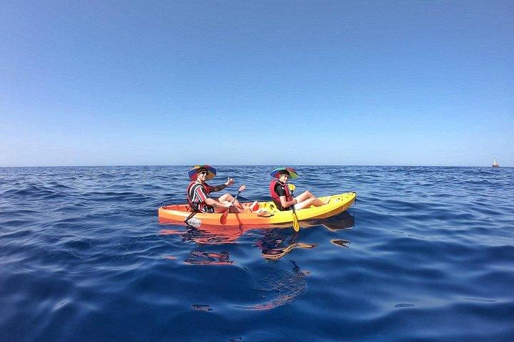 イルカとカメのプライベートツアーでカヤック