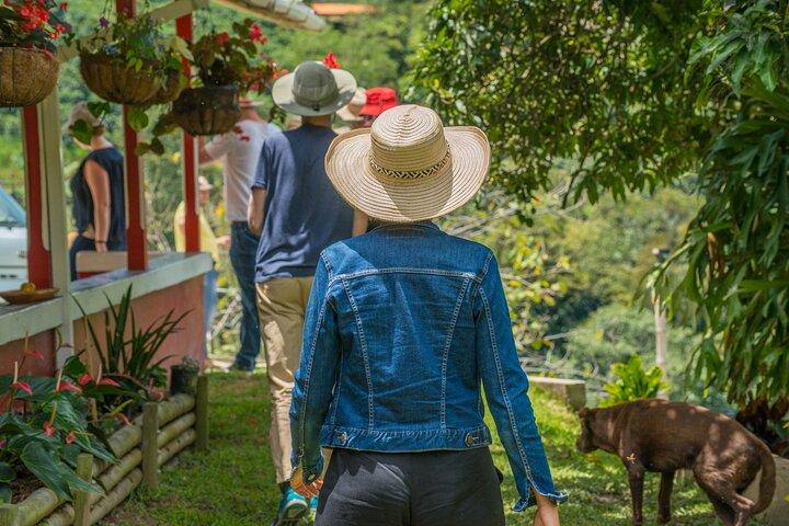 Tour privato: Colombian Coffee Farm & Culture di Medellin - Dal raccolto alla tazza!