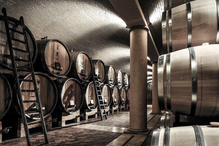 Dégustation de mets et de vins à Valpolicella