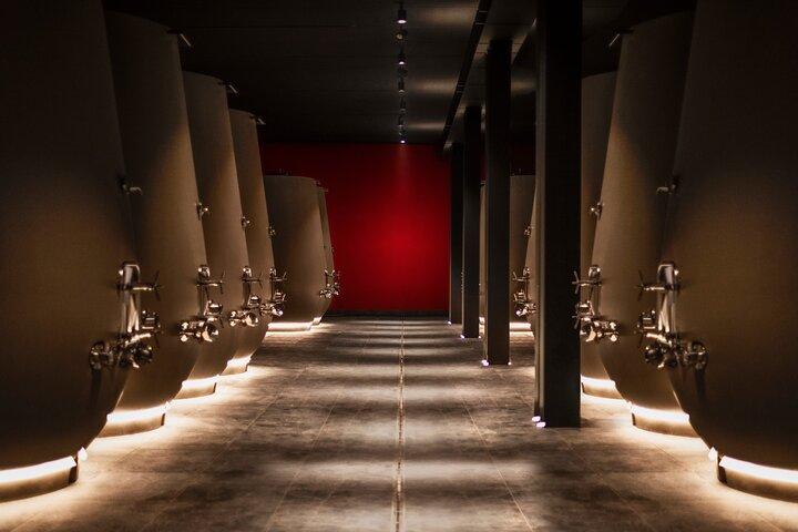 Dégustation de mets et de vins à Valpolicella
