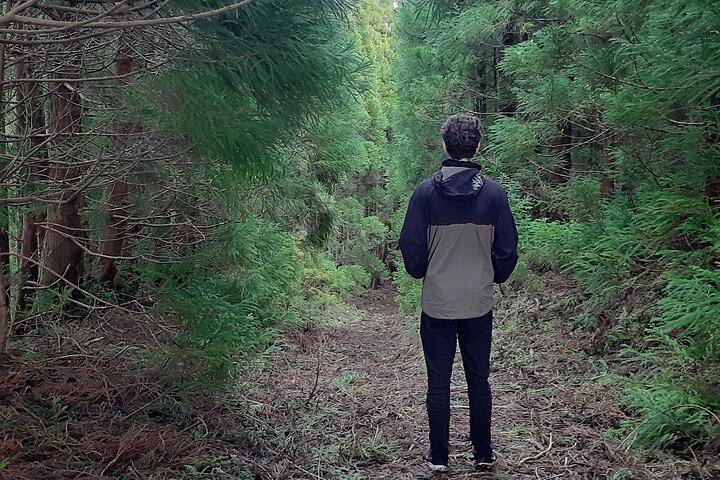 Vandresti Black Mysteries | Terceira-øen