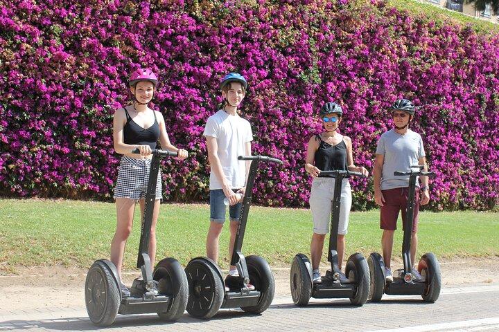 Valencia 3 Parks Privat Segway Tour.